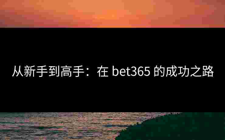 从新手到高手：在 bet365 的成功之路